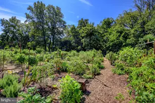 3000 Tilden St NW, Washington, DC 20008 - Photo 43