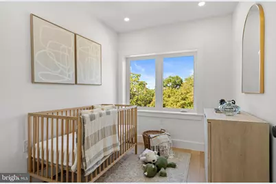 249 Gallatin Street NW, Washington, DC 20011 - Photo 31