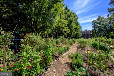 3020 Tilden Street NW #104, Washington, DC 20008 - Photo 31