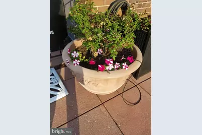 1420 N N Street NW #407, Washington, DC 20005 - Photo 9