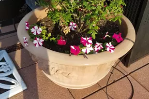 1420 N N Street NW, Washington, DC 20005 - Photo 9