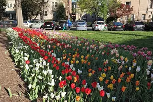 2001 16th St NW, Washington, DC 20009 - Photo 17