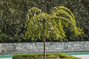 3117 O St NW, Washington, DC 20007 - Photo 19