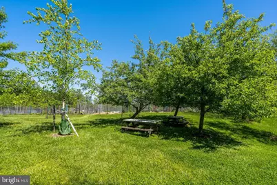 3821 Newark Street NW #B440, Washington, DC 20016 - Photo 41