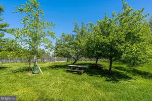 3821 Newark St NW, Washington, DC 20016 - Photo 41