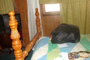 415 NW Farragut Street NW, Washington, DC 20011 - Photo 15