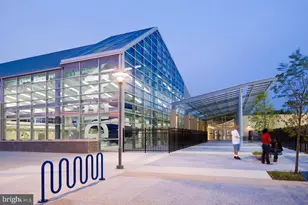 1319 49th St NE, Washington, DC 20019 - Photo 49