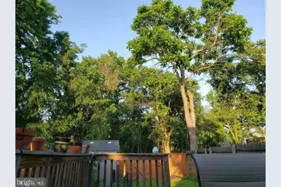 1319 49th Street NE, Washington, DC 20019 - Photo 43