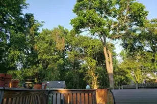 1319 49th St NE, Washington, DC 20019 - Photo 43