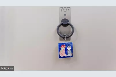 3315 Wisconsin Avenue NW #707, Washington, DC 20016 - Photo 3