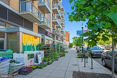 2550 17th Street NW #302, Washington, DC 20009 - Photo 19