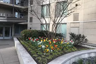 555 Massachusetts Ave NW, Washington, DC 20001 - Photo 3