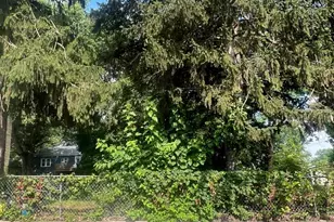 318 57th St NE, Washington, DC 20019 - Photo 5