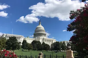 800 4th St SW, Washington, DC 20024 - Photo 51