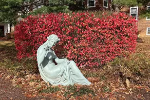 3541 39th St NW, Washington, DC 20016 - Photo 11