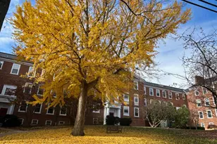 3541 39th St NW, Washington, DC 20016 - Photo 23