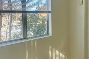 4901 Fitch Pl NE, Washington, DC 20019 - Photo 11