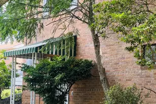 4901 Fitch Pl NE, Washington, DC 20019 - Photo 23