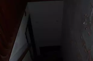 205 Oglethorpe St NW, Washington, DC 20011 - Photo 31