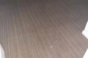 2330 Nicholson St SE, Washington, DC 20020 - Photo 11