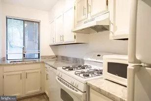 3815 NW Davis Pl NW, Washington, DC 20007 - Photo 3