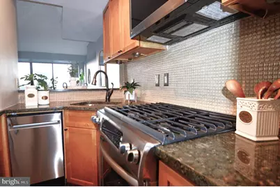 1245 13th Street NW #902, Washington, DC 20005 - Photo 49