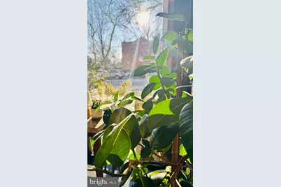 3601 Wisconsin Avenue NW #702, Washington, DC 20016 - Photo 3