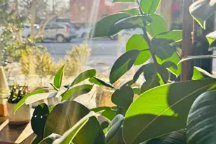 3601 Wisconsin Ave NW, Washington, DC 20016 - Photo 3