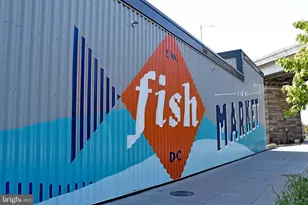 73 G St SW, Washington, DC 20024 - Photo 37