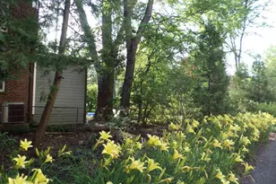 4600 Connecticut Ave NW, Washington, DC 20008 - Photo 45