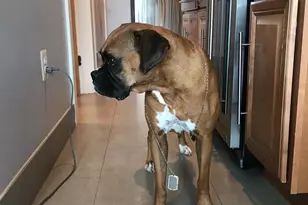 1133 14th St NW, Washington, DC 20005 - Photo 13