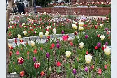 912 S Street NW #1, Washington, DC 20001 - Photo 27