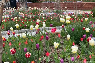 912 S St NW, Washington, DC 20001 - Photo 27