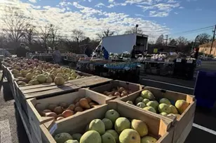 1357 Nicholson St NW, Washington, DC 20011 - Photo 31