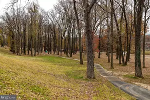 3437 10th Pl SE, Washington, DC 20032 - Photo 31