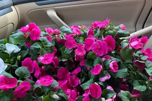 522 NW 21st NW, Washington, DC 20006 - Photo 9