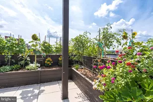 1794 Lanier Pl NW, Washington, DC 20009 - Photo 39