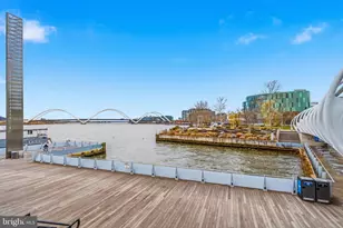 335 L St SE, Washington, DC 20003 - Photo 41