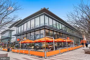 335 L St SE, Washington, DC 20003 - Photo 51