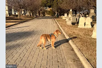 1237 Potomac Avenue SE, Washington, DC 20003 - Photo 25