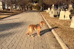 1237 Potomac Ave SE, Washington, DC 20003 - Photo 25