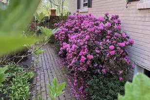 4228 40th St NW, Washington, DC 20016 - Photo 45