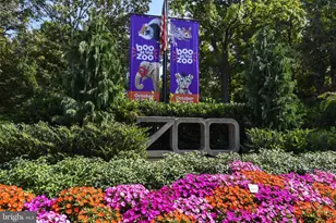 1731 Willard St NW, Washington, DC 20009 - Photo 51