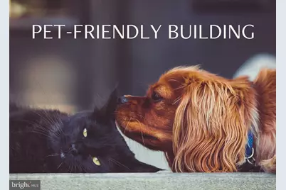 5885 Colorado Avenue NW #401, Washington, DC 20011 - Photo 19