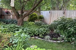 4206 10th St NE, Washington, DC 20017 - Photo 57