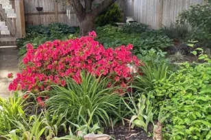 4206 10th St NE, Washington, DC 20017 - Photo 55