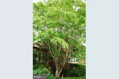 1755 Upshur Street NW, Washington, DC 20011 - Photo 79