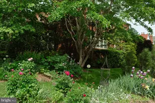 1755 Upshur St NW, Washington, DC 20011 - Photo 75