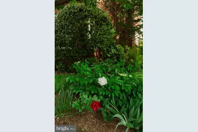 1755 Upshur Street NW, Washington, DC 20011 - Photo 77