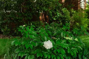 1755 Upshur St NW, Washington, DC 20011 - Photo 77